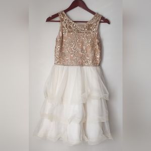 Chantilly Place Mesh Cascading Ball Gown